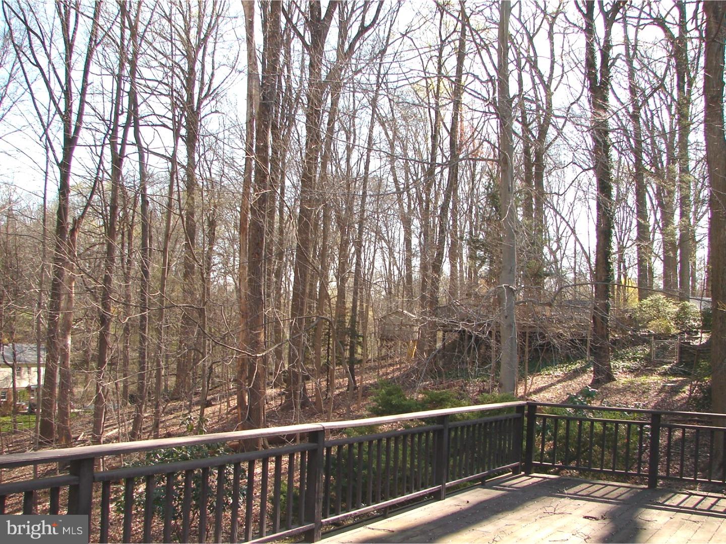1911 Colt Road Media, PA 19063 - Photo 19 of 20