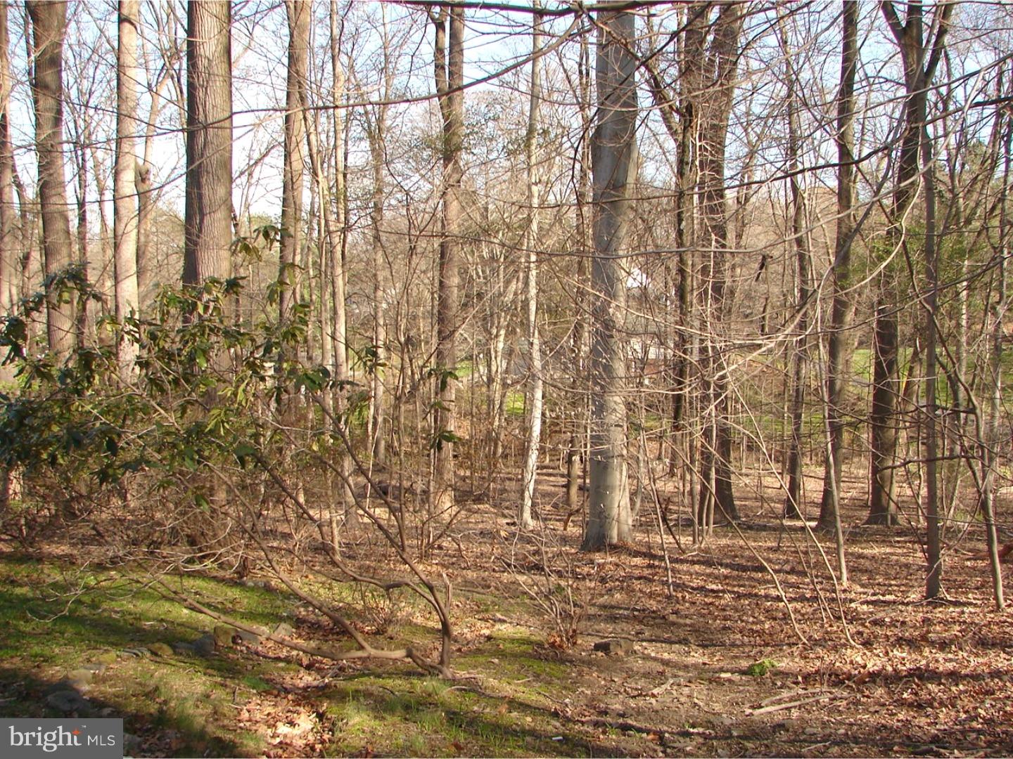 1911 Colt Road Media, PA 19063 - Photo 20 of 20