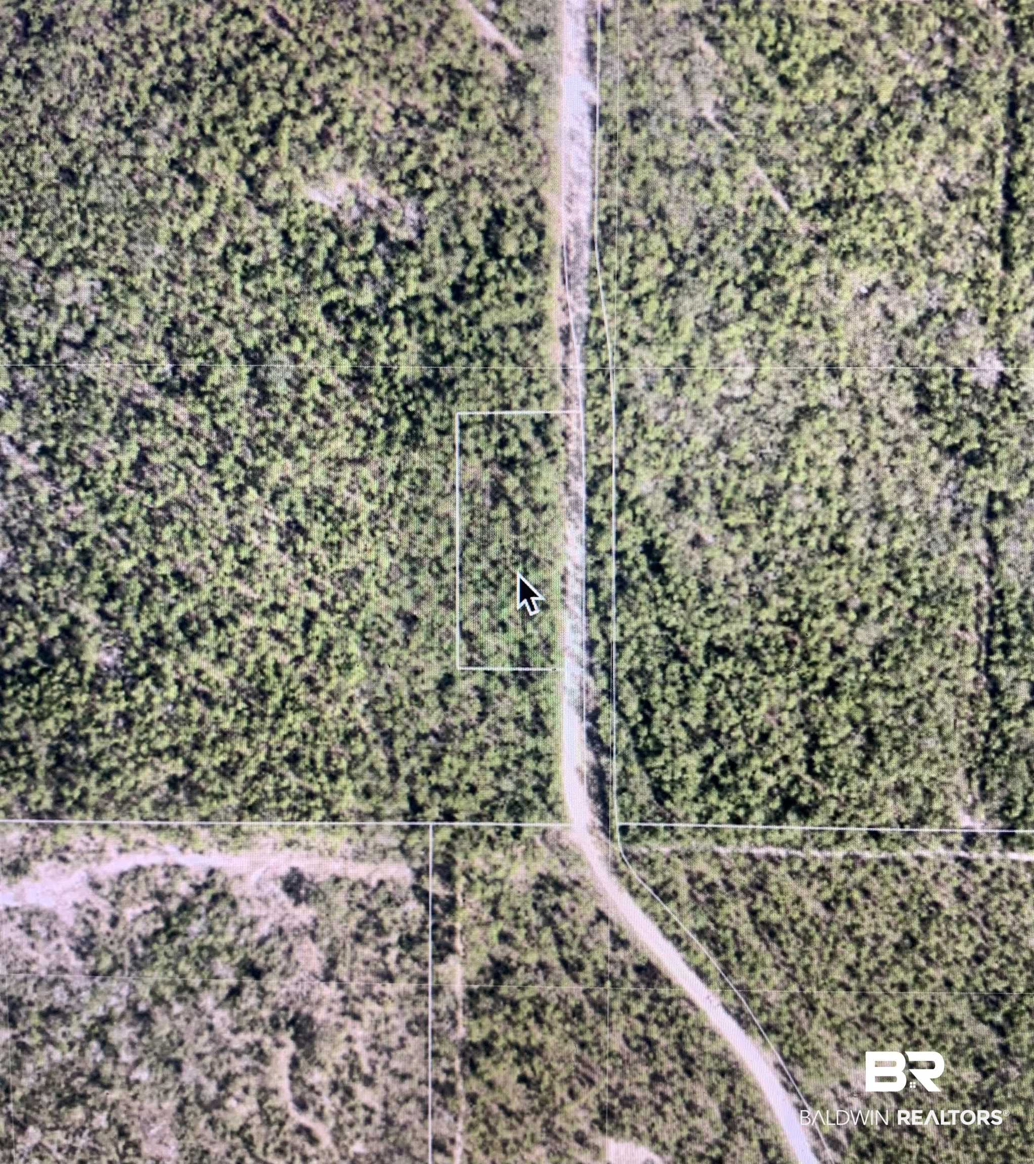 0 Ridge Road Eight Mile, AL 36613 - Photo 2 of 2 Aerial view