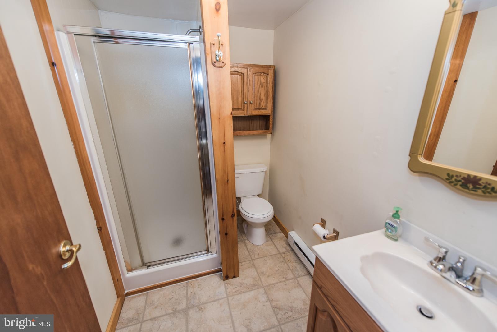 116 Hickory Hollow Road Berkeley Springs, WV 25411 - Photo 22 of 30 a bathroom with a sink a toilet and shower