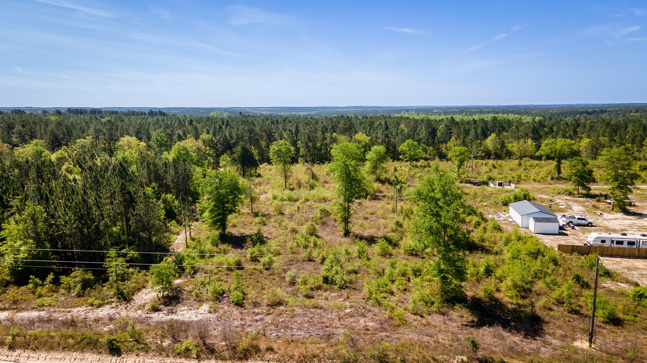 3-acres Old Shoals Road Monetta, SC 29105 - Photo 5 of 12