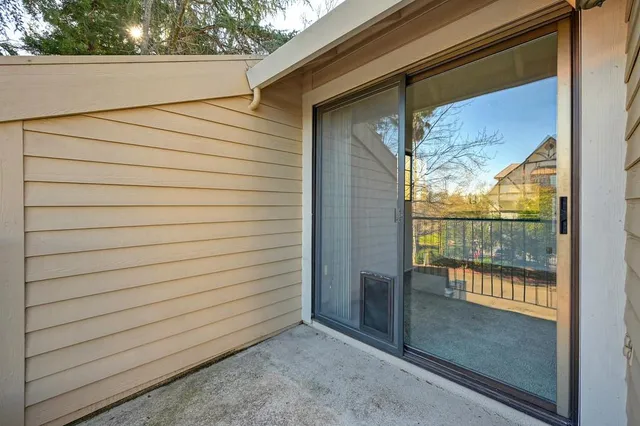 a view of a park with large trees