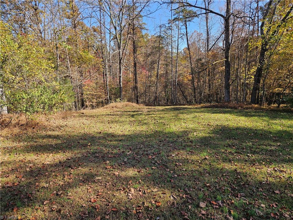 0 Jackson Road Westfield, NC 27053 - Photo 7 of 12