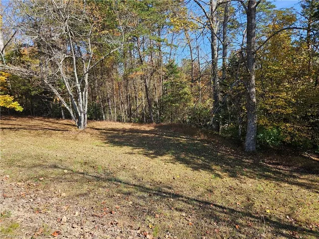 $30,000 | 0 Jackson Road, Westfield, NC 27053