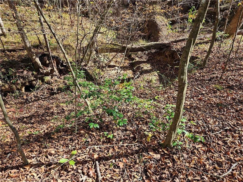 0 Jackson Road Westfield, NC 27053 - Photo 10 of 12