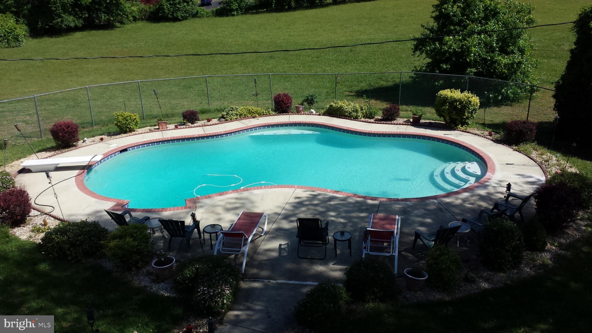 16616 River Airport Road Brandywine, MD 20613 - Photo 3 of 6 Large gunite pool with diving board & loveseats