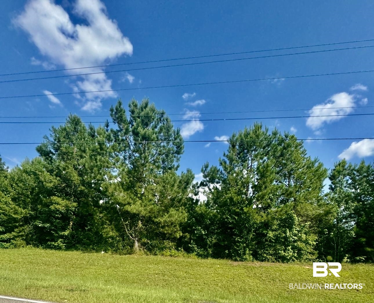 Wild Avenue Evergreen, AL 36401 - Photo 3 of 4