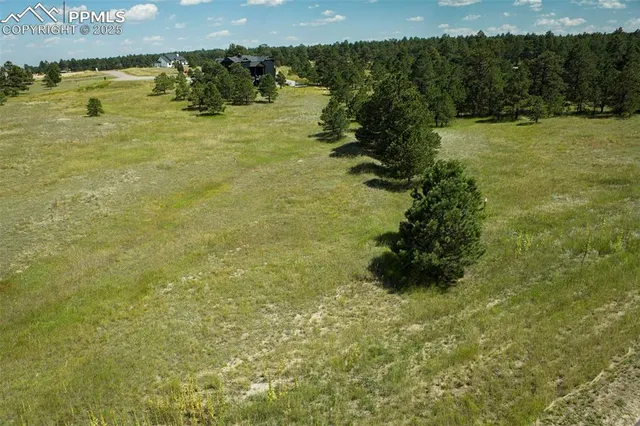 a view of a garden with an outdoor space