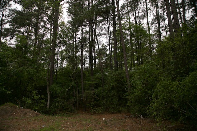 258 Hearne Road Corrigan, TX 75939 - Photo 4 of 7