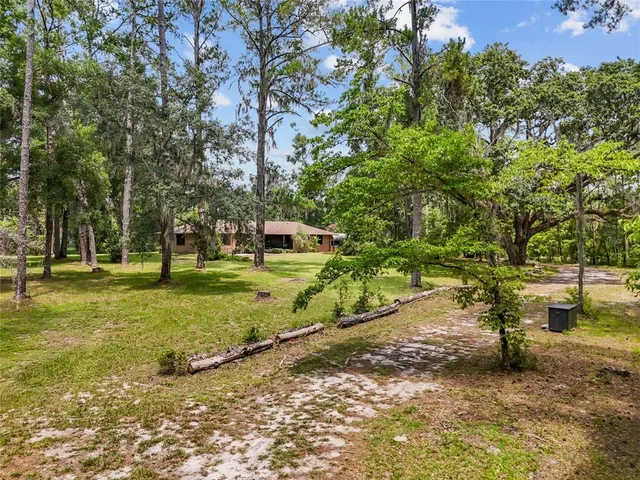 a view of a tree in a yard