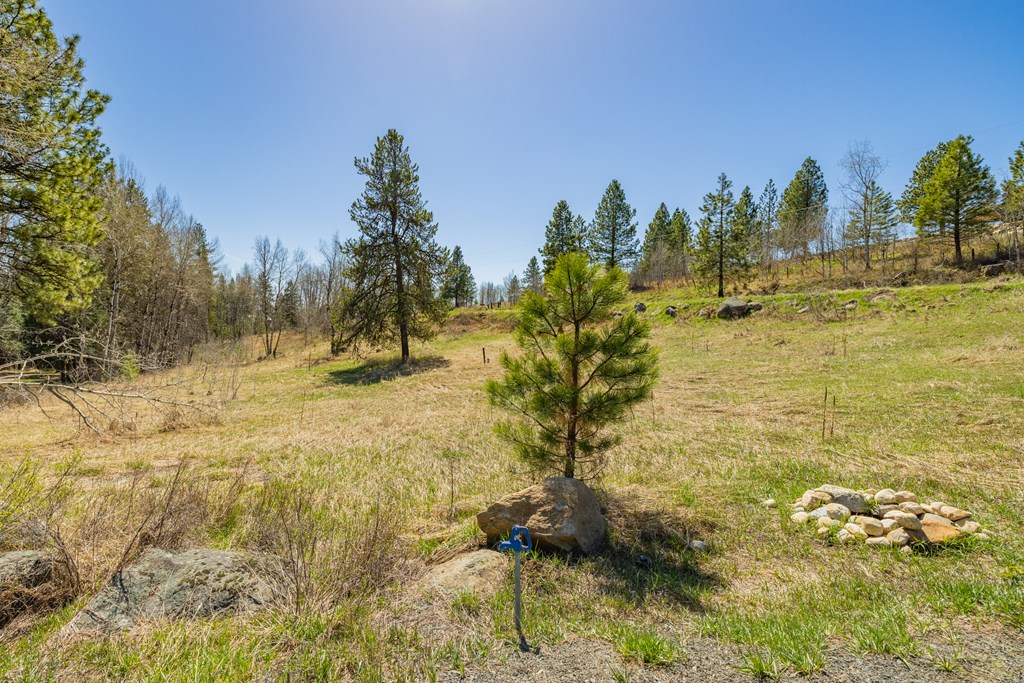 Tbd Morell Road McCall, ID 83638 - Photo 3 of 22
