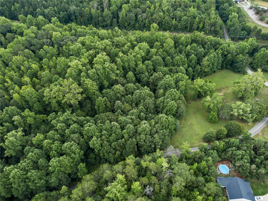 0 North Perkins Creek Road Seneca, SC 29678 - Photo 15 of 17 Gallery Image 15