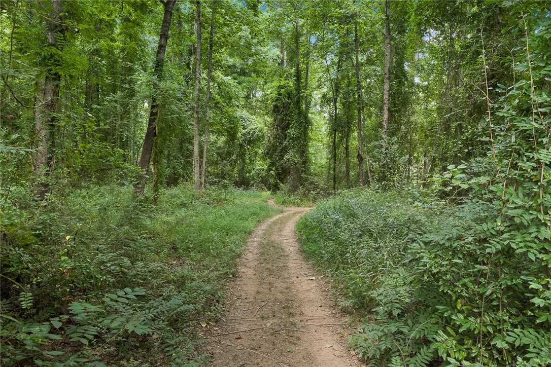 0 North Perkins Creek Road Seneca, SC 29678 - Photo 5 of 17 Gallery Image 5