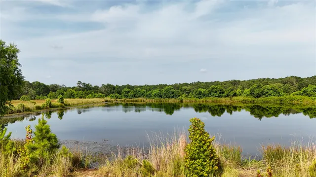 a view of a green yard