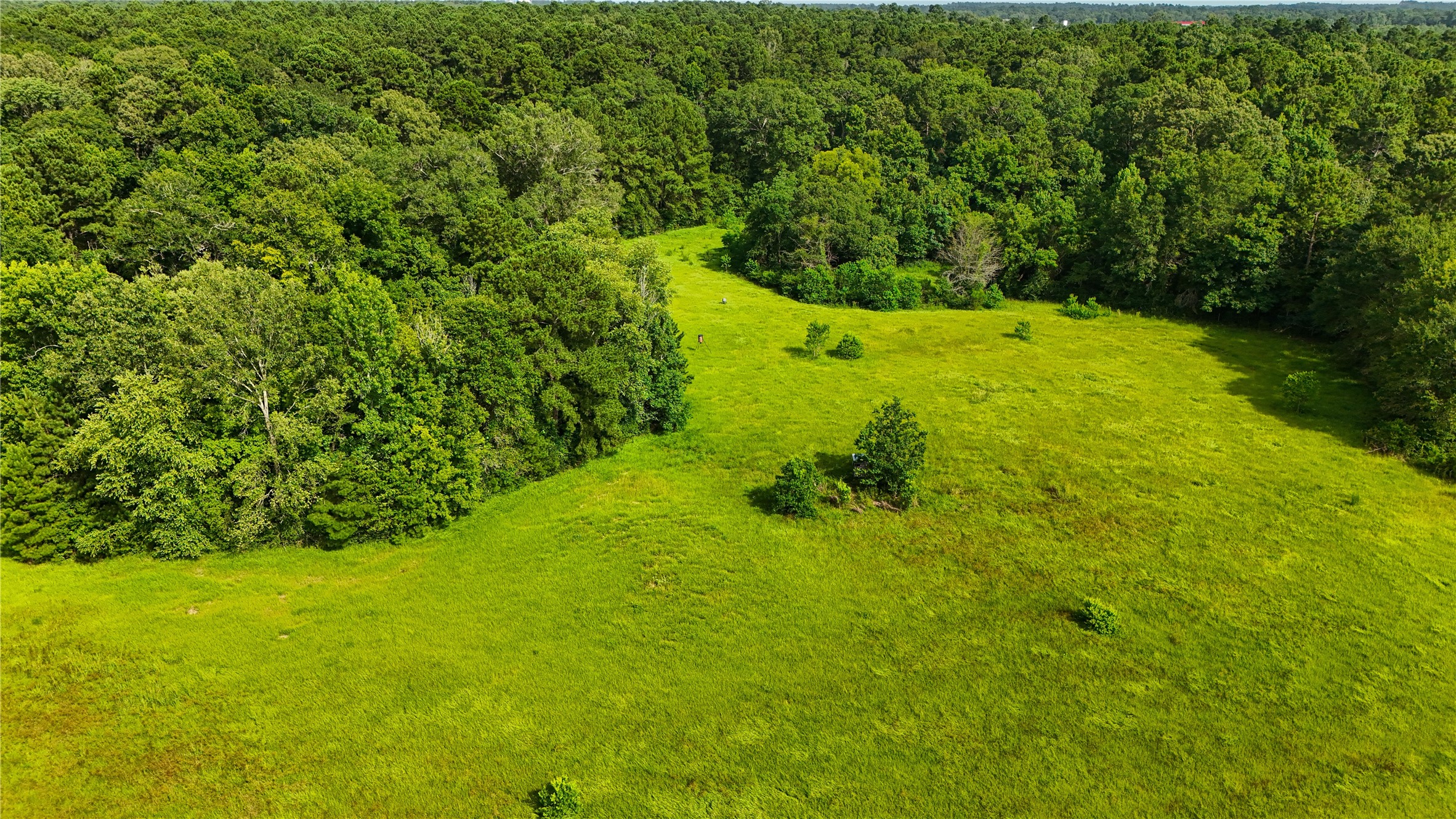 287 Loop 287 Frontage Road Lufkin, TX 75901 - Photo 15 of 22 a view of a green yard