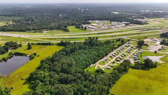 a view of a swimming pool with a lawn chairs and plants