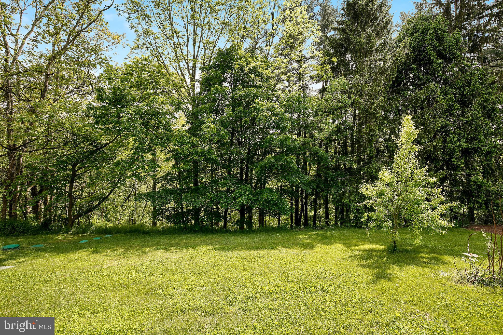 2025 Flag Marsh Road Mount Airy, MD 21771 - Photo 25 of 26 Gallery Image 25