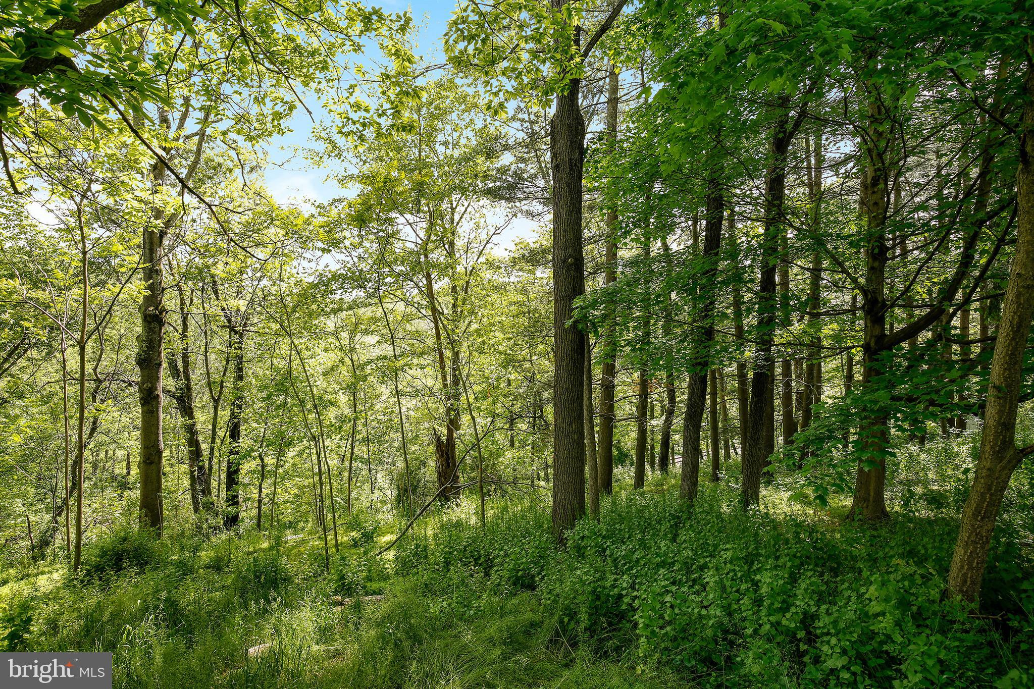 2025 Flag Marsh Road Mount Airy, MD 21771 - Photo 26 of 26 Gallery Image 26