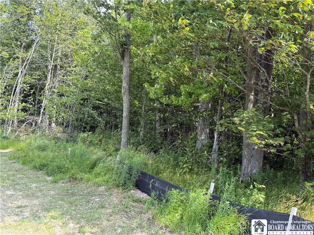 2751 Canfield Road Cohocton, NY 14826 - Photo 19 of 50