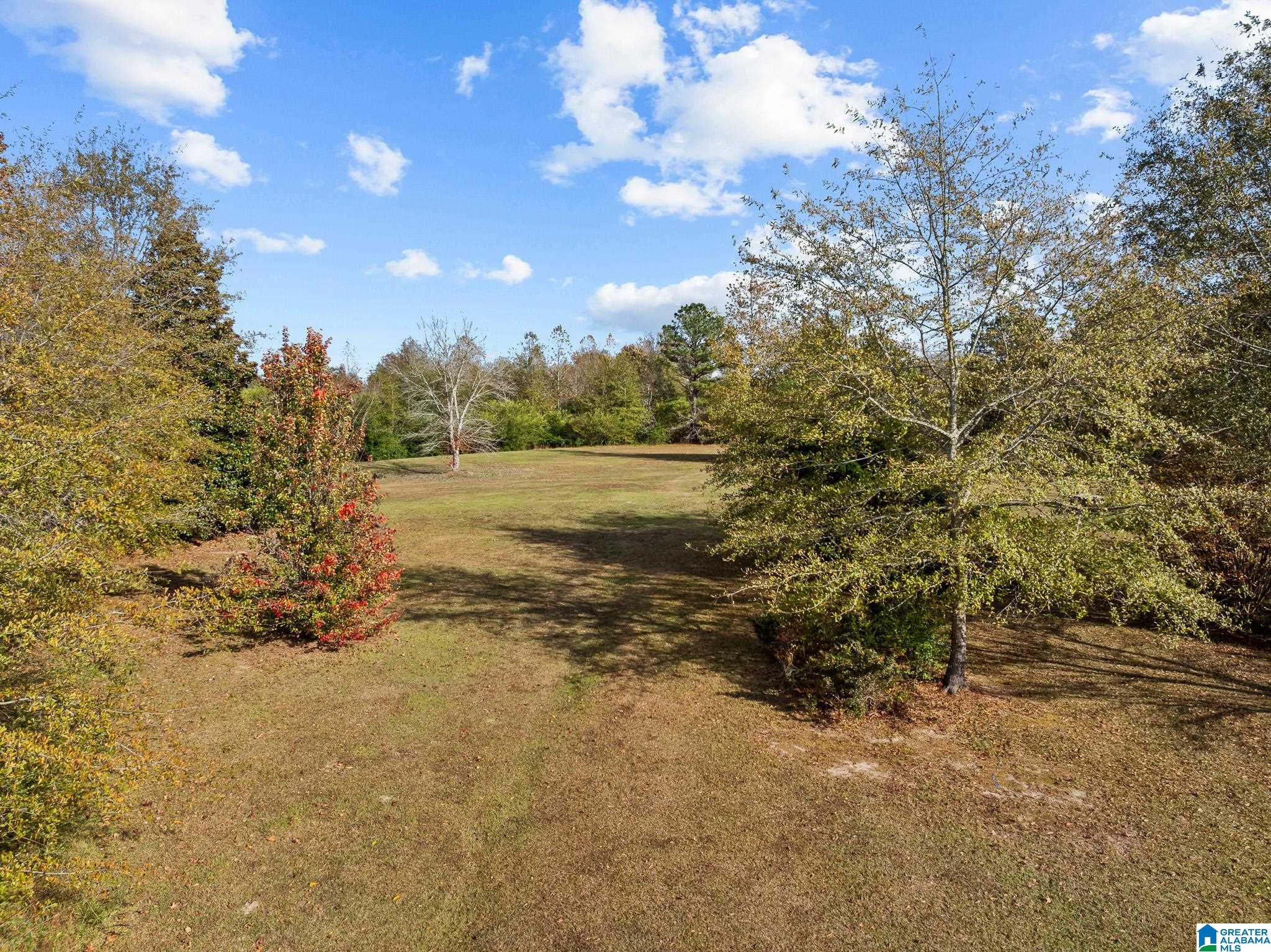 0 Armstrong Road, Unit 1 Ashville, AL 35953 - Photo 12 of 12
