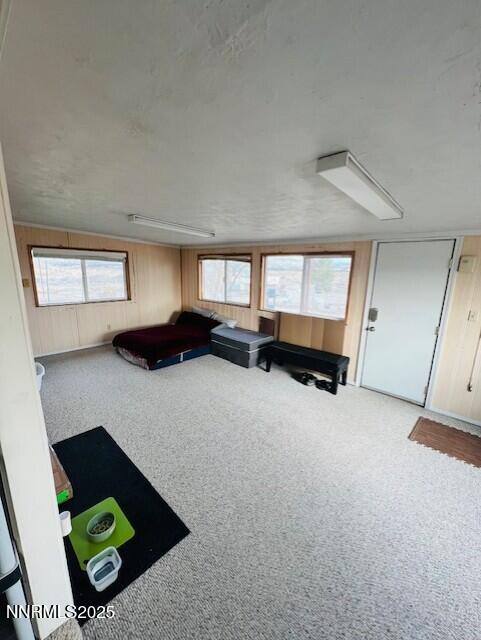 3825 Keyes Way Fallon, NV 89406 - Photo 14 of 37 IMG_2069