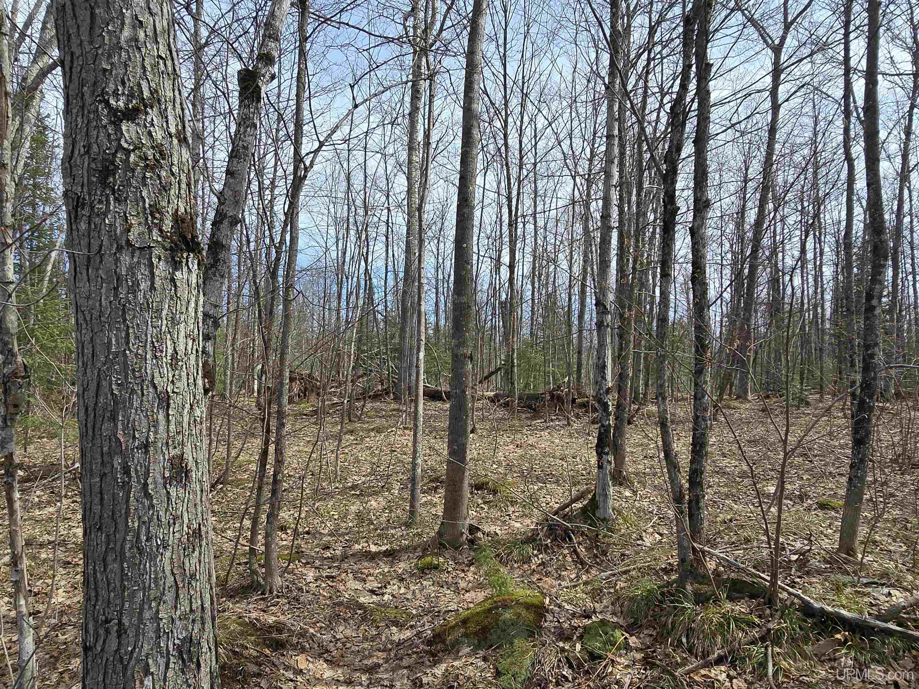 Tbd Woodspur Road Ontonagon, MI 49953 - Photo 21 of 46