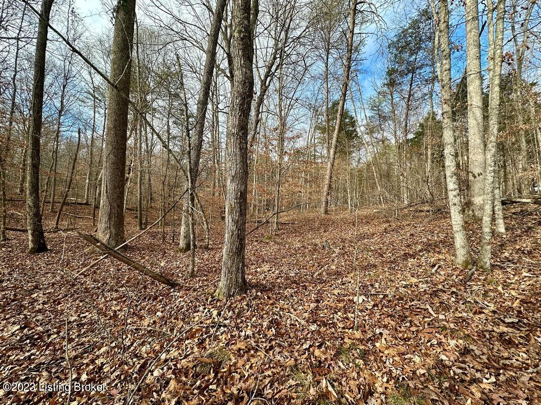 L37 Ted Logsdon Road Clarkson, KY 42726 - Photo 20 of 25 Image00034