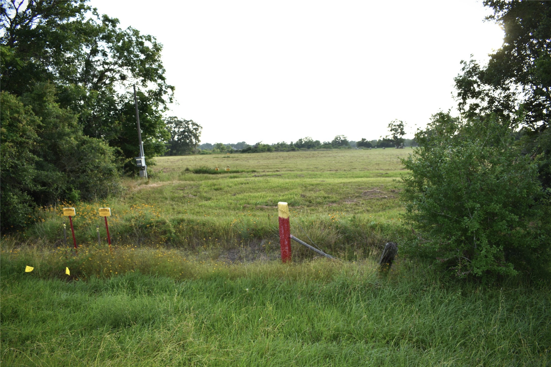 23210 FM 521 Road Angleton, TX 77515 - Photo 14 of 23 a park view with a lake view