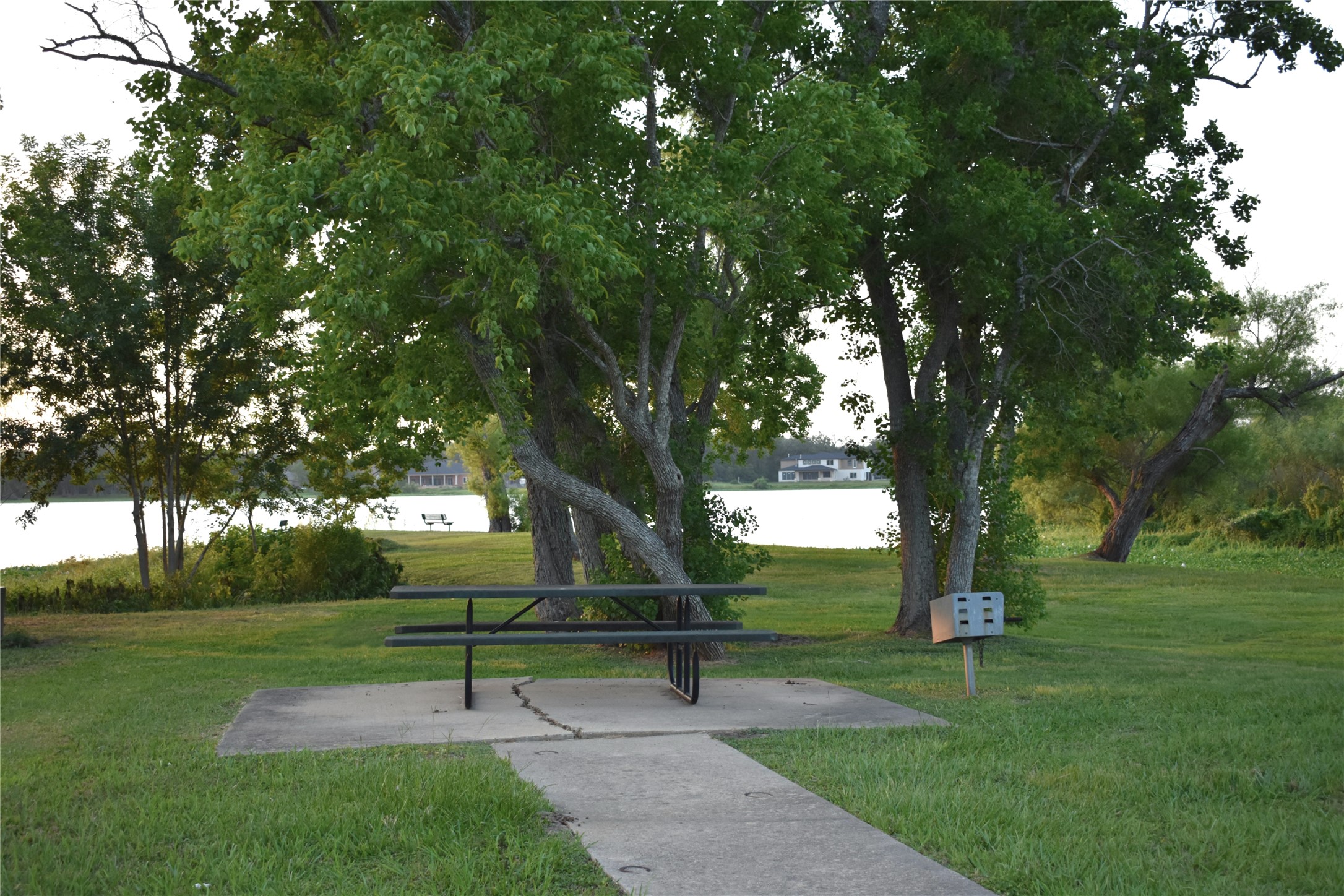 23210 FM 521 Road Angleton, TX 77515 - Photo 19 of 23 a park view with a bench and trees