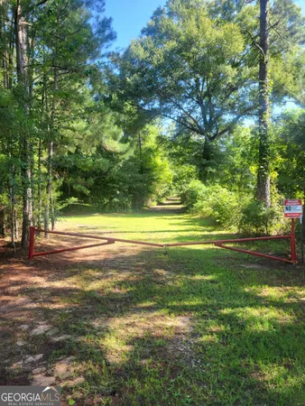 a view of a yard with a large trees