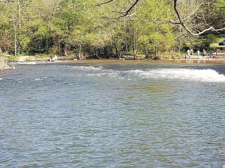 4918 Barnburgh Lane Murfreesboro, TN 37129 - Photo 19 of 35