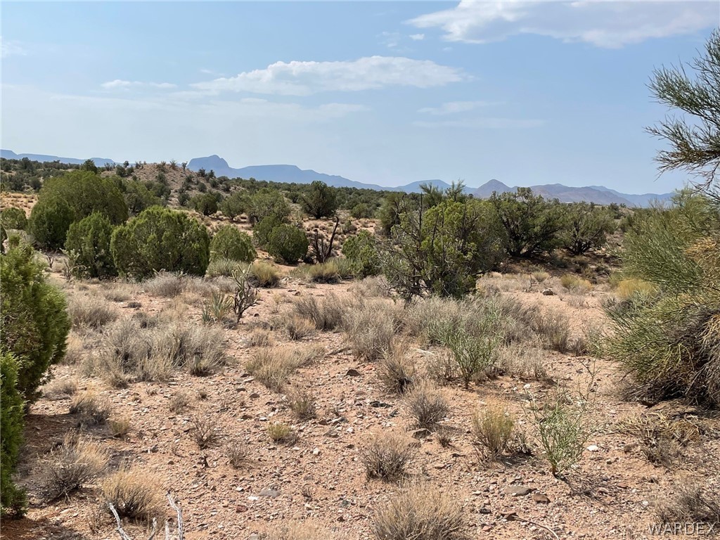 Lot 321 Howard Road Kingman, AZ 86401 - Photo 11 of 17