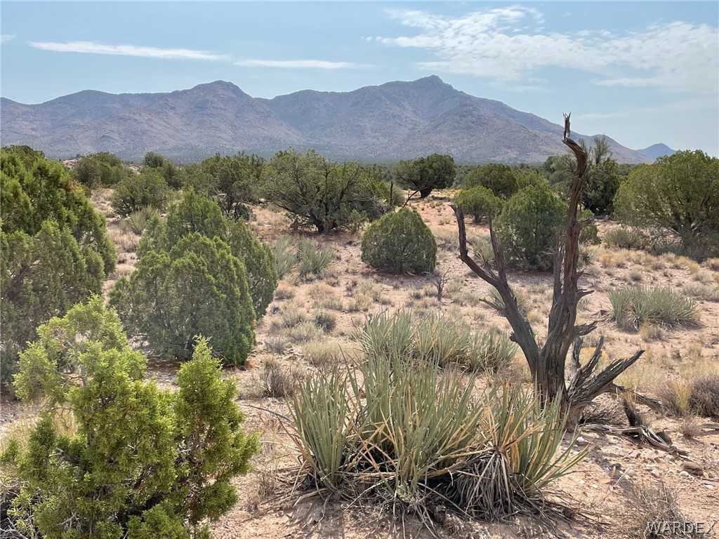 Lot 321 Howard Road Kingman, AZ 86401 - Photo 12 of 17