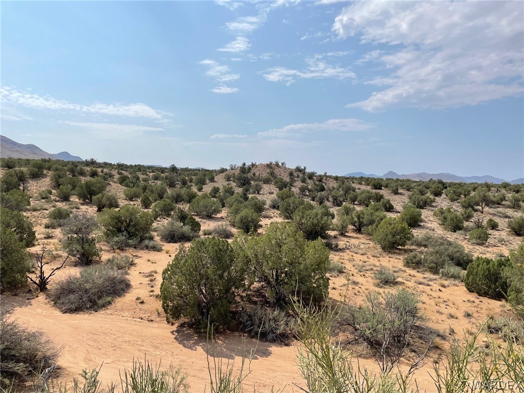 Lot 321 Howard Road Kingman, AZ 86401 - Photo 17 of 17