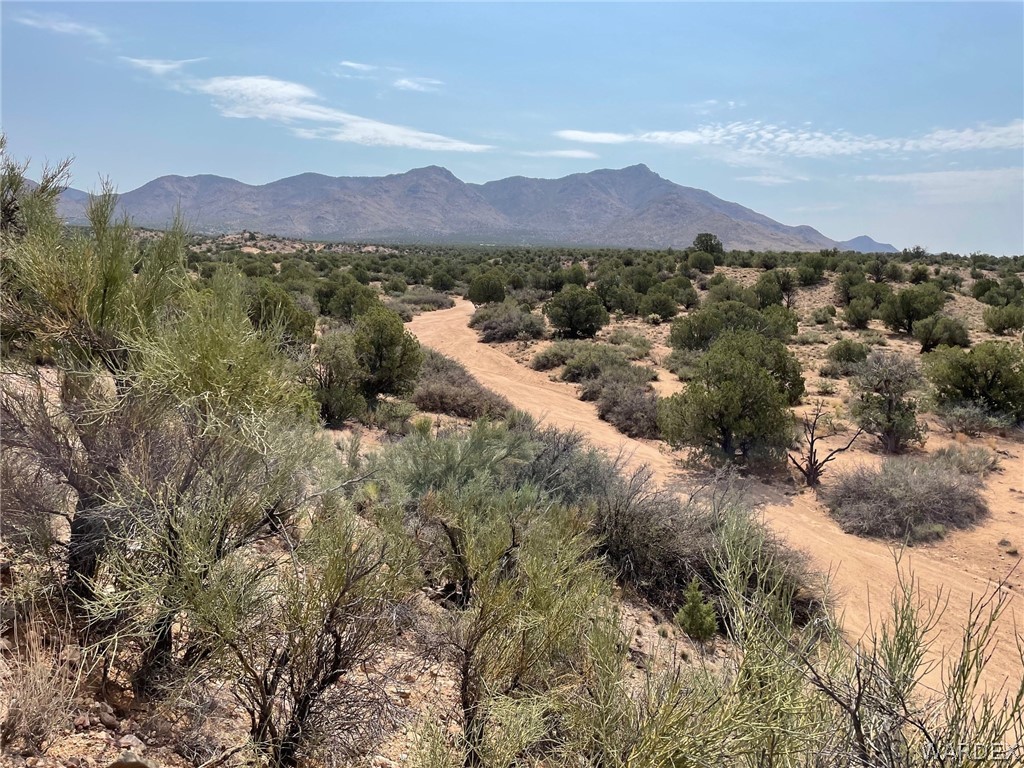 Lot 321 Howard Road Kingman, AZ 86401 - Photo 2 of 17