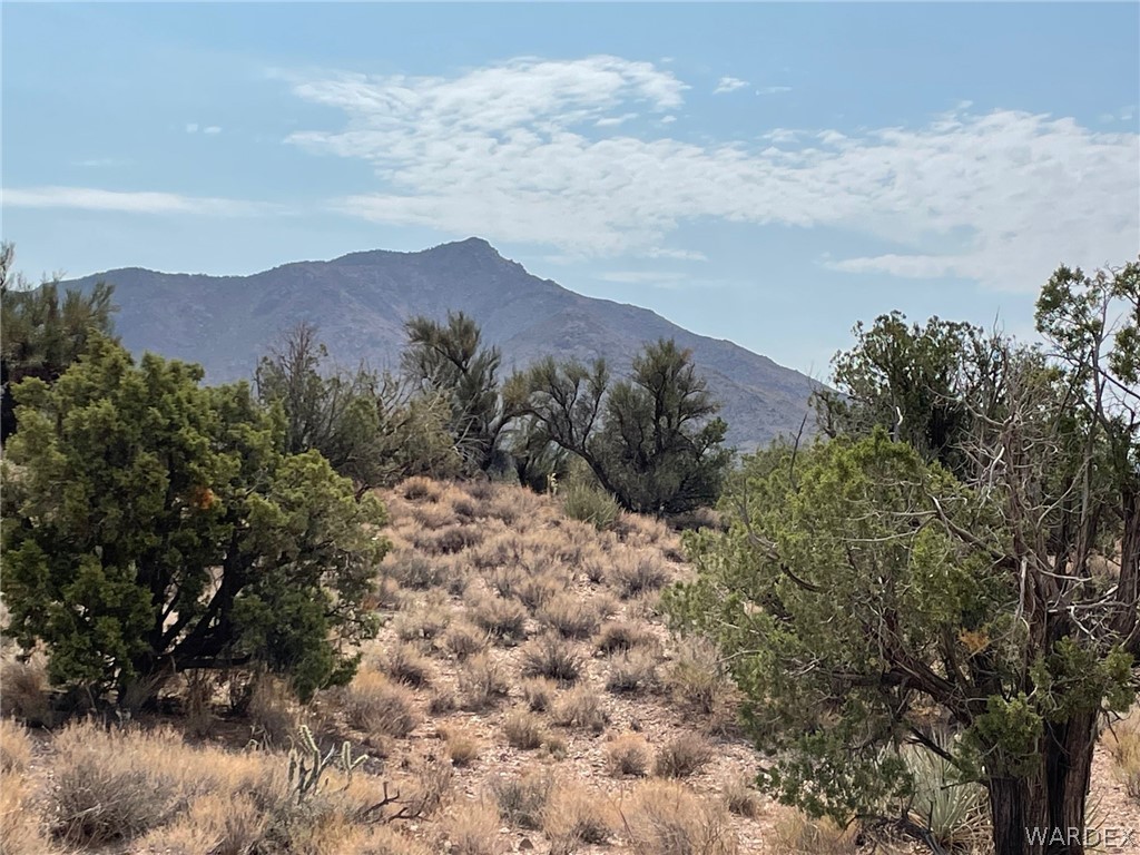 Lot 321 Howard Road Kingman, AZ 86401 - Photo 7 of 17