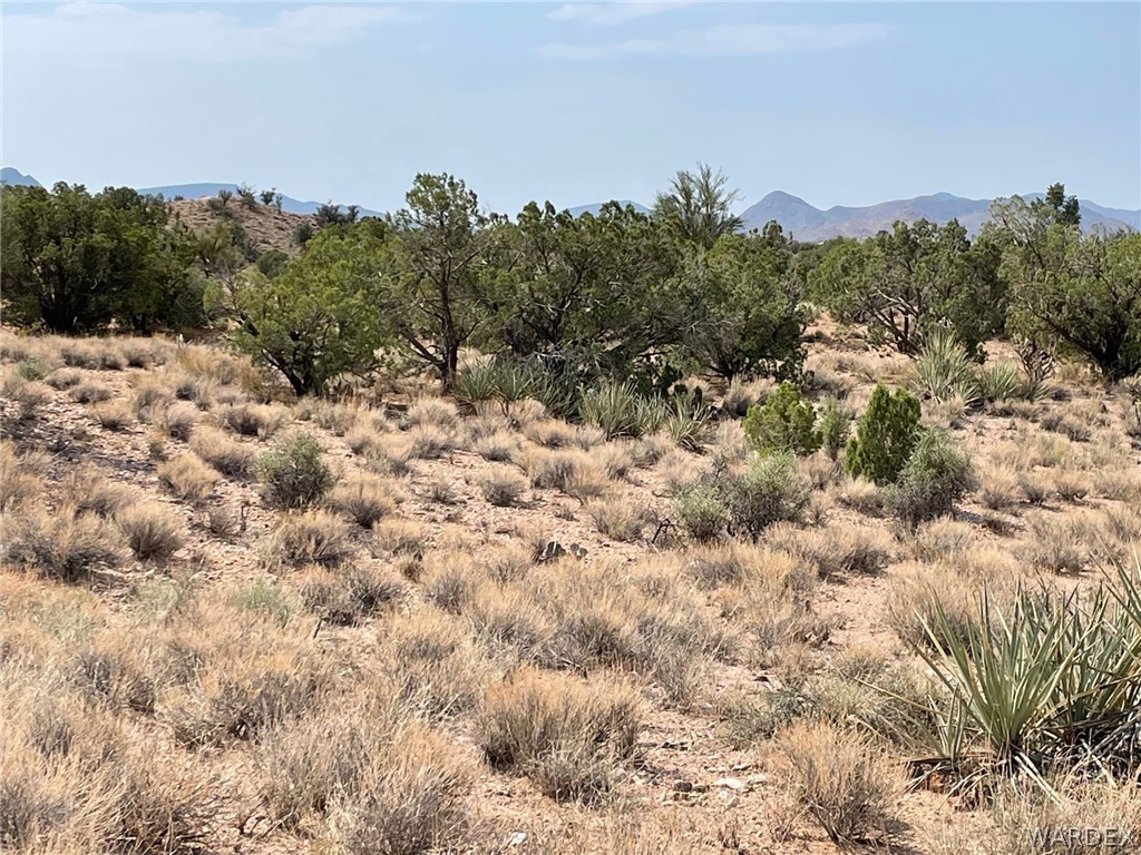 Lot 321 Howard Road Kingman, AZ 86401 - Photo 8 of 17