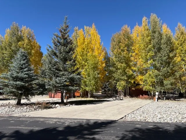 a view of a yard with trees