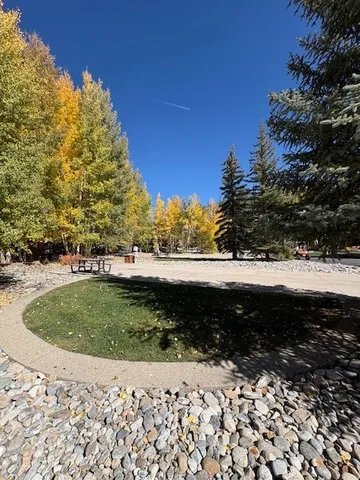 a view of a yard with wooden fence