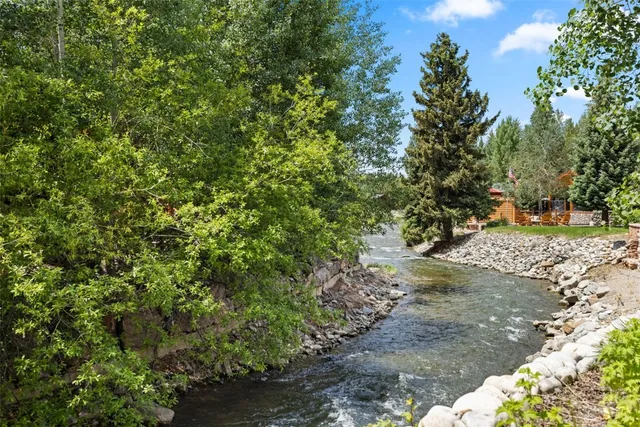 a view of a two chairs in the garden