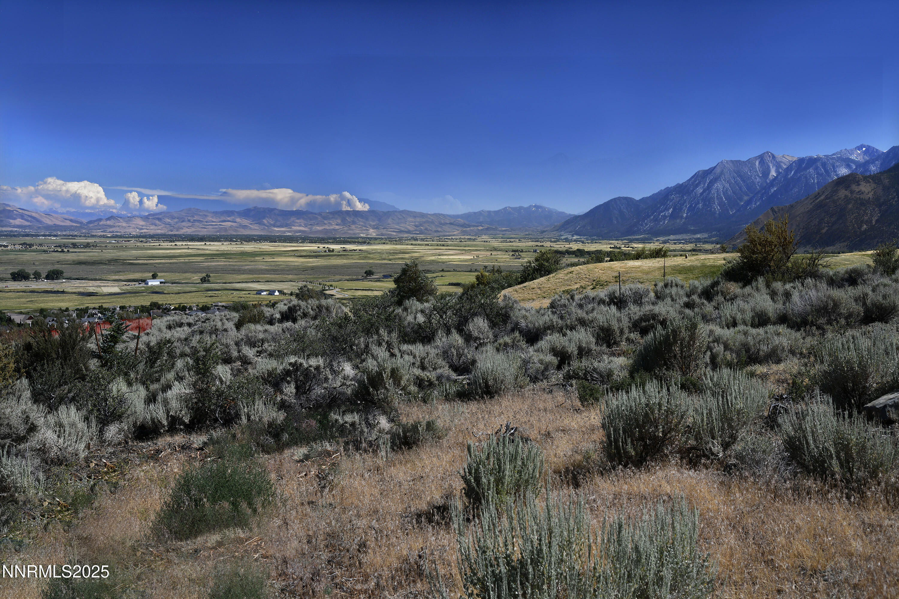 343 James Canyon Loop Genoa, NV 89411 - Photo 3 of 22 7south view
