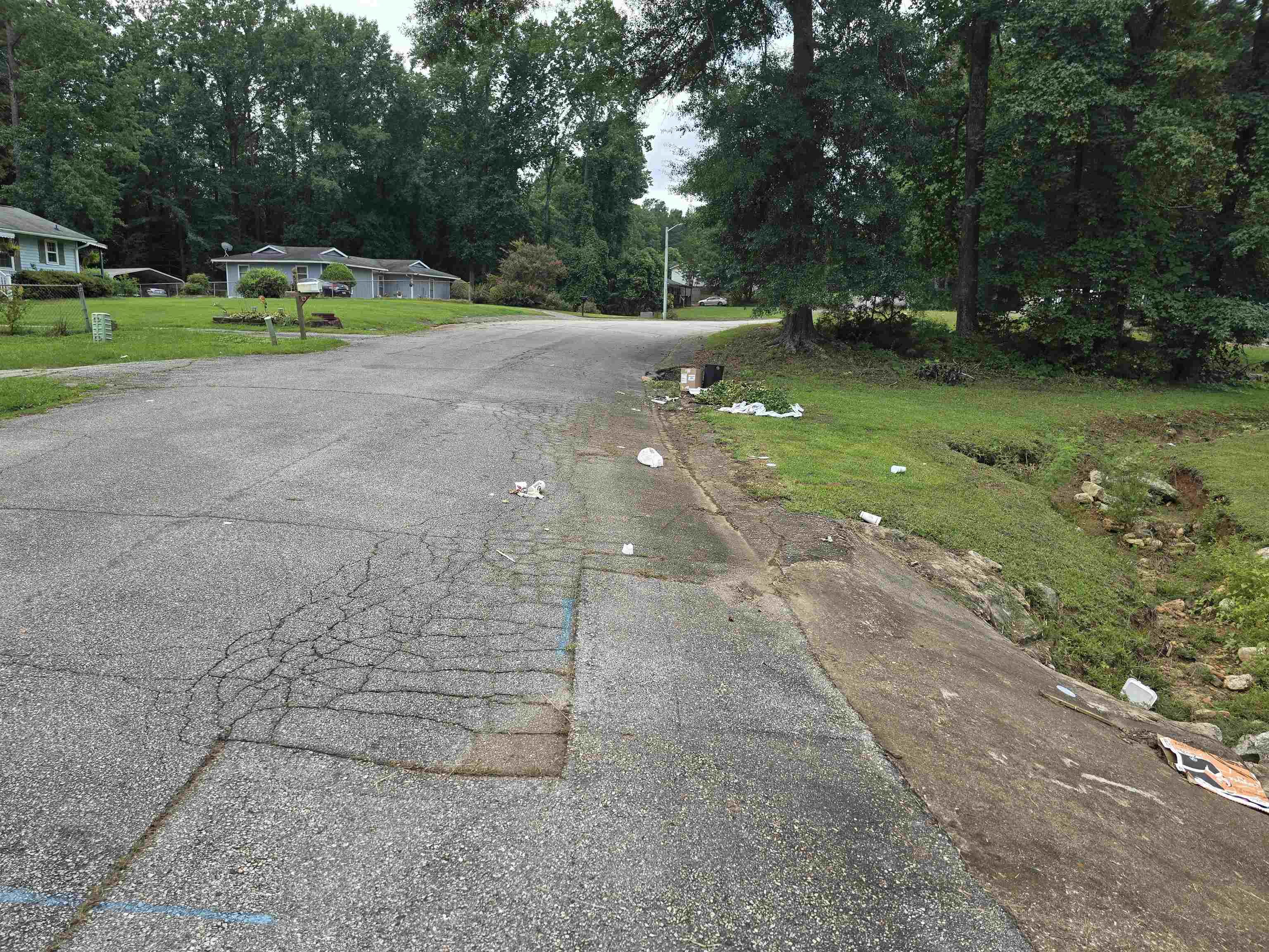 Lot 519 McCluney Drive Gaffney, SC 29340 - Photo 2 of 4