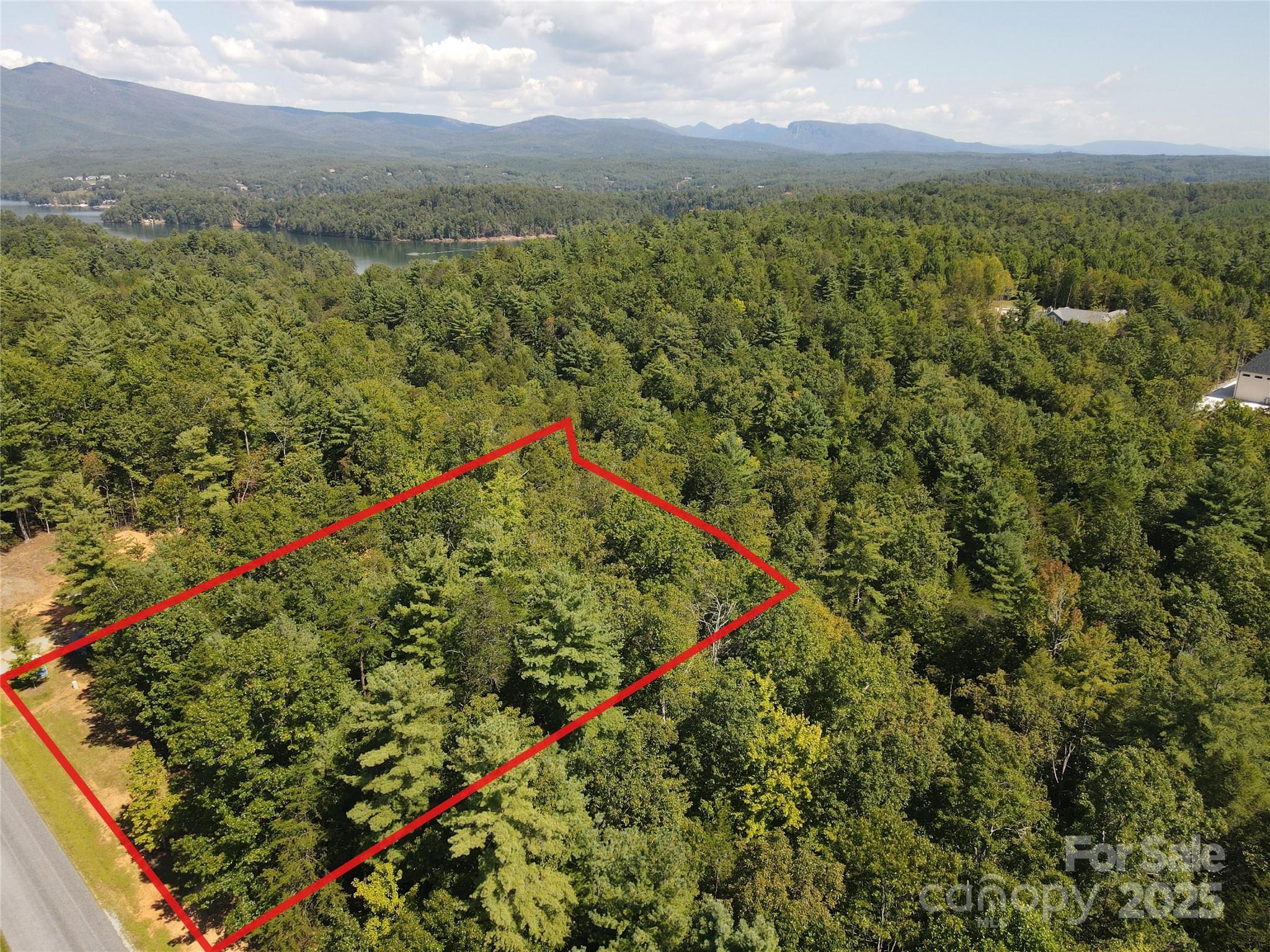 178 Beacon Ridge Drive Nebo, NC 28761 - Photo 1 of 20 an aerial view of green landscape with trees houses and mountain view