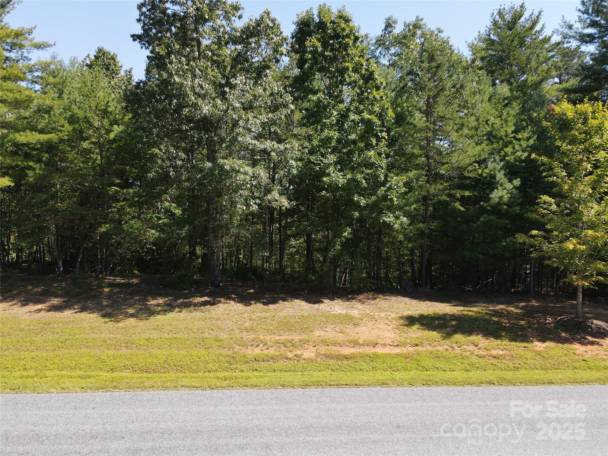 178 Beacon Ridge Drive Nebo, NC 28761 - Photo 12 of 20 a view of yard with swimming pool
