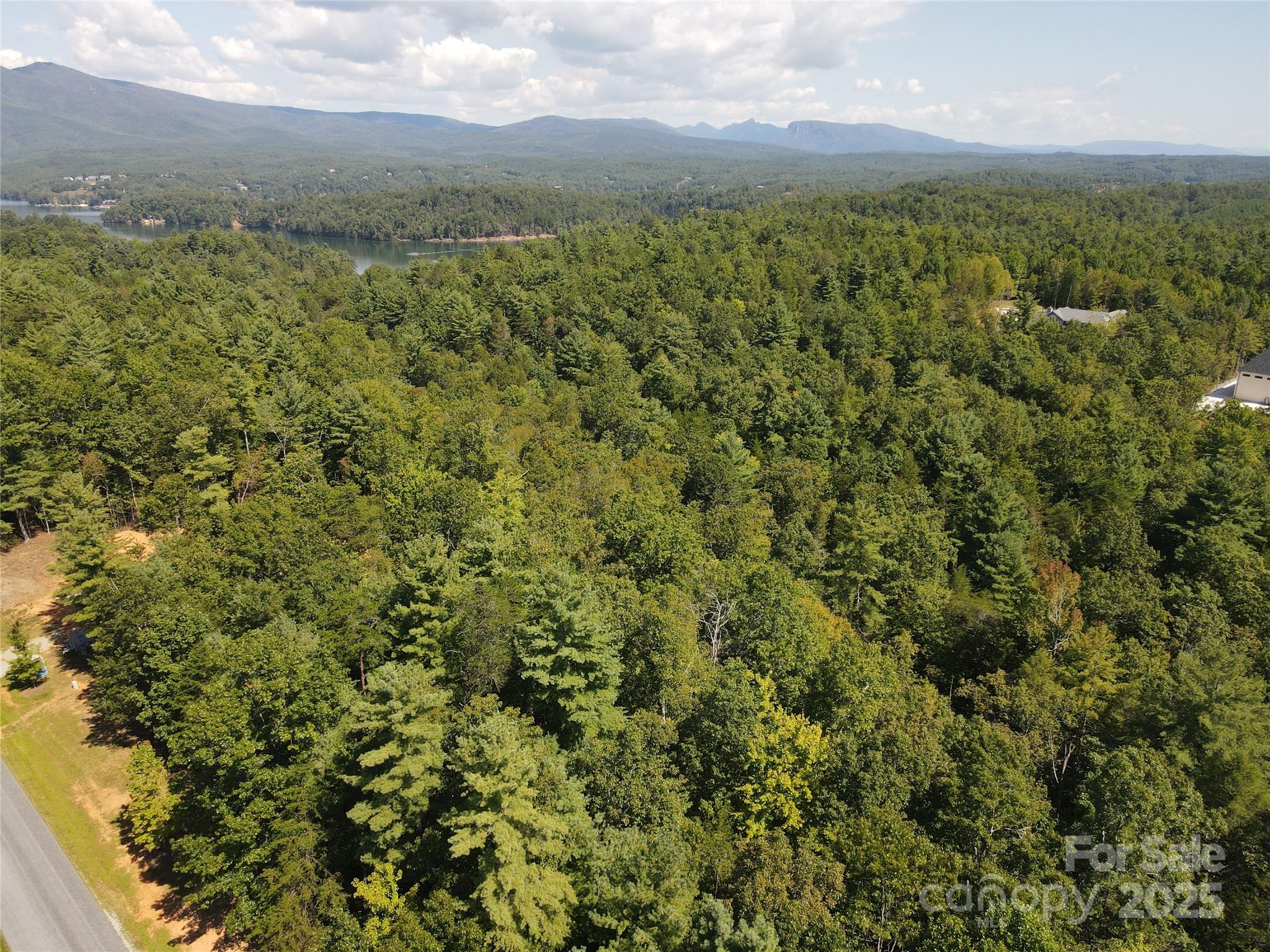 178 Beacon Ridge Drive Nebo, NC 28761 - Photo 13 of 20 a view of a city with lush green forest