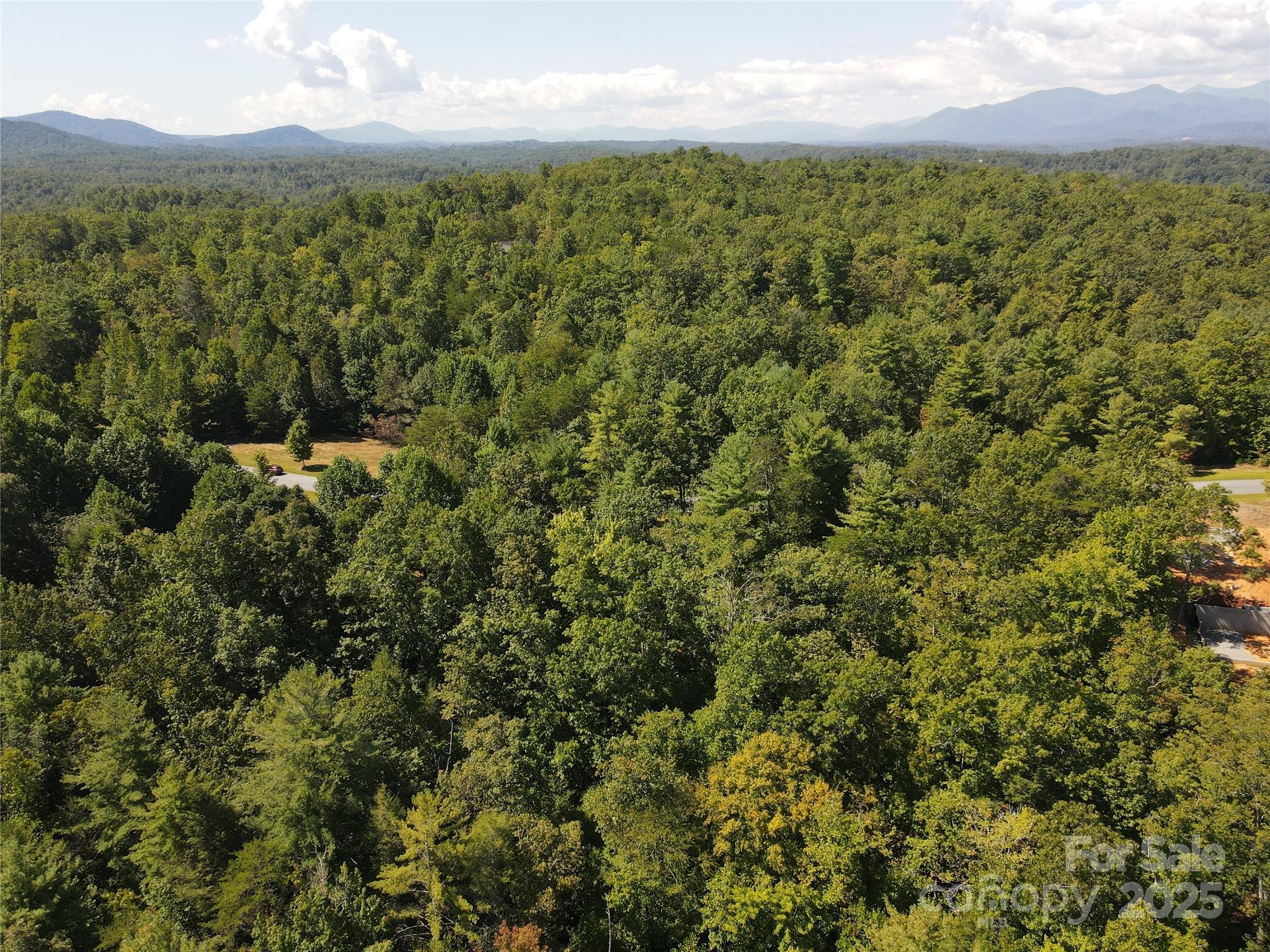 178 Beacon Ridge Drive Nebo, NC 28761 - Photo 14 of 20 a view of a city with lush green forest