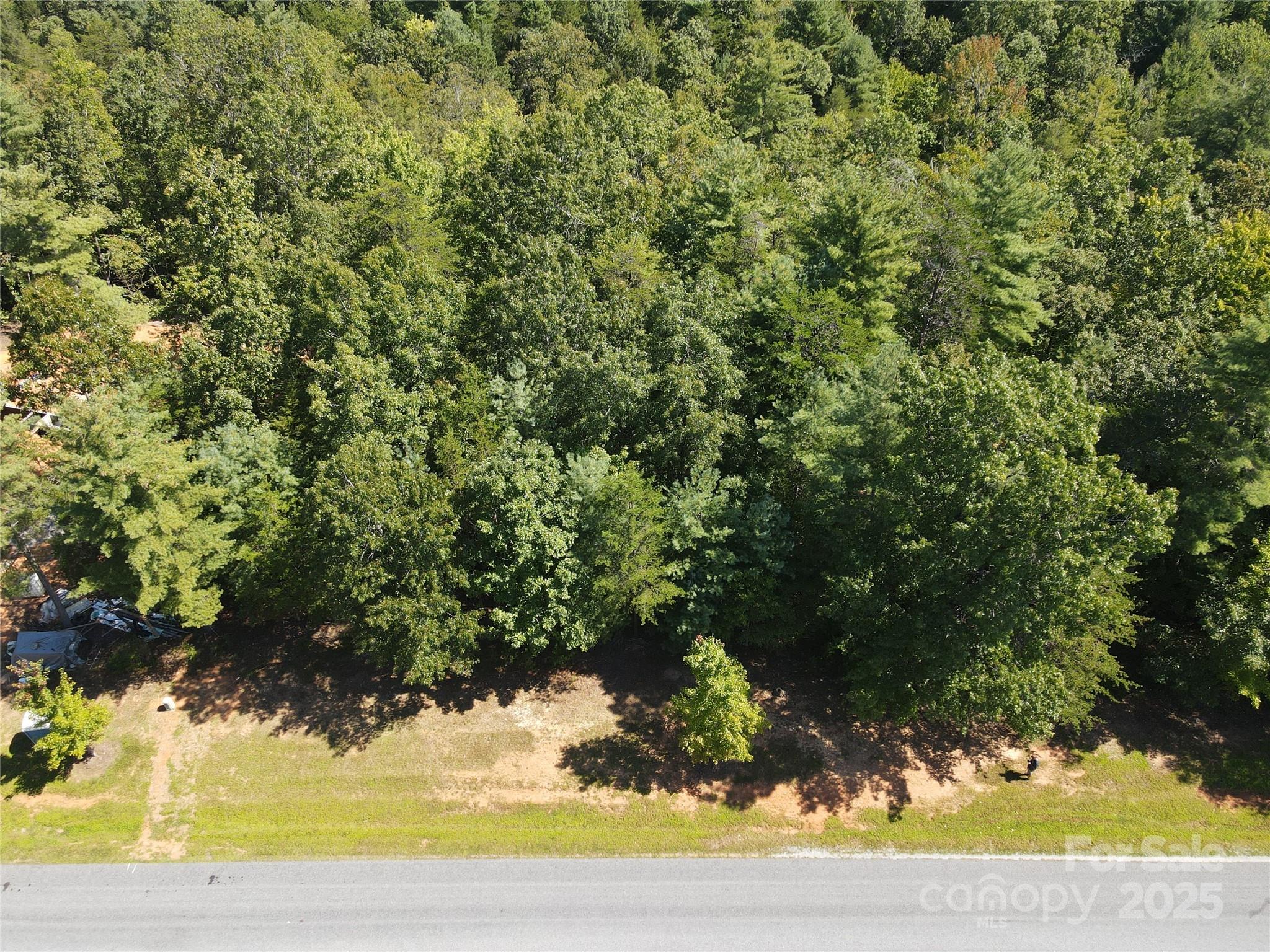 178 Beacon Ridge Drive Nebo, NC 28761 - Photo 3 of 20 a view of a yard