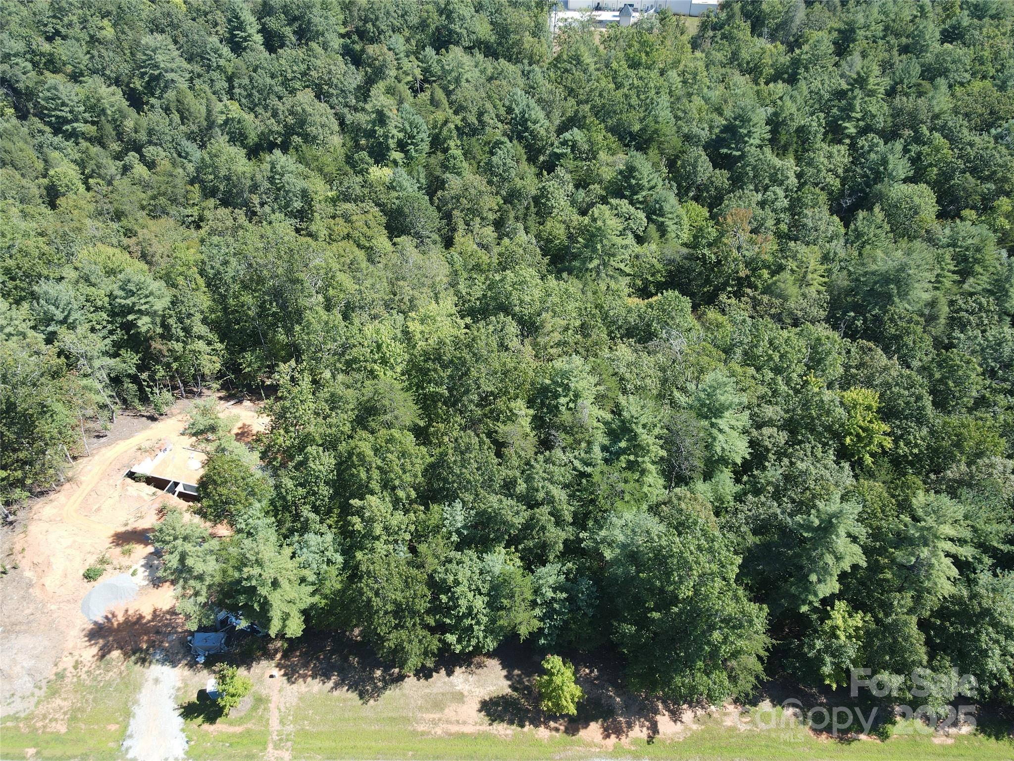 178 Beacon Ridge Drive Nebo, NC 28761 - Photo 4 of 20 a view of a forest with a tree