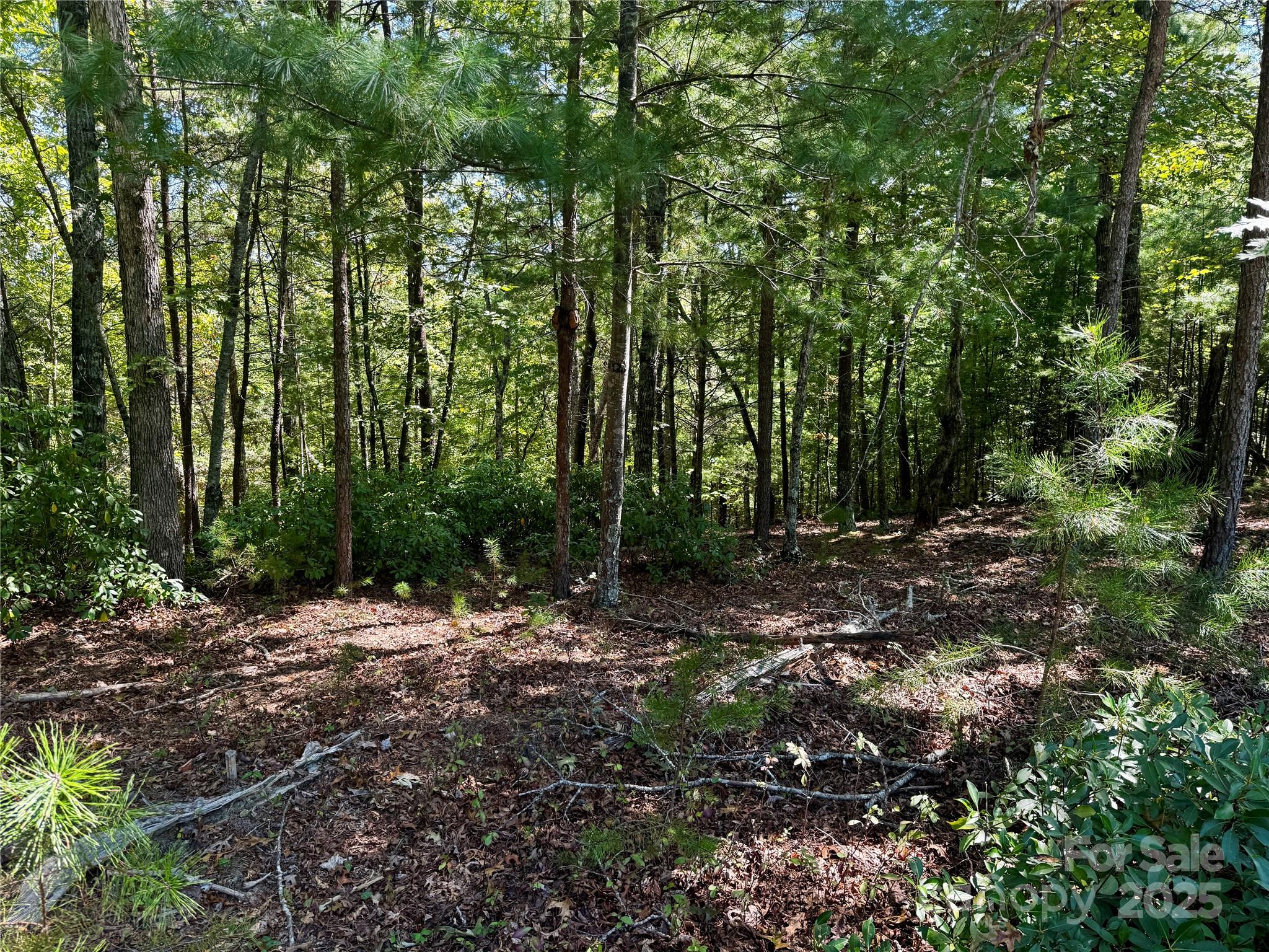 178 Beacon Ridge Drive Nebo, NC 28761 - Photo 8 of 20 a wooden bench with lots of bushes