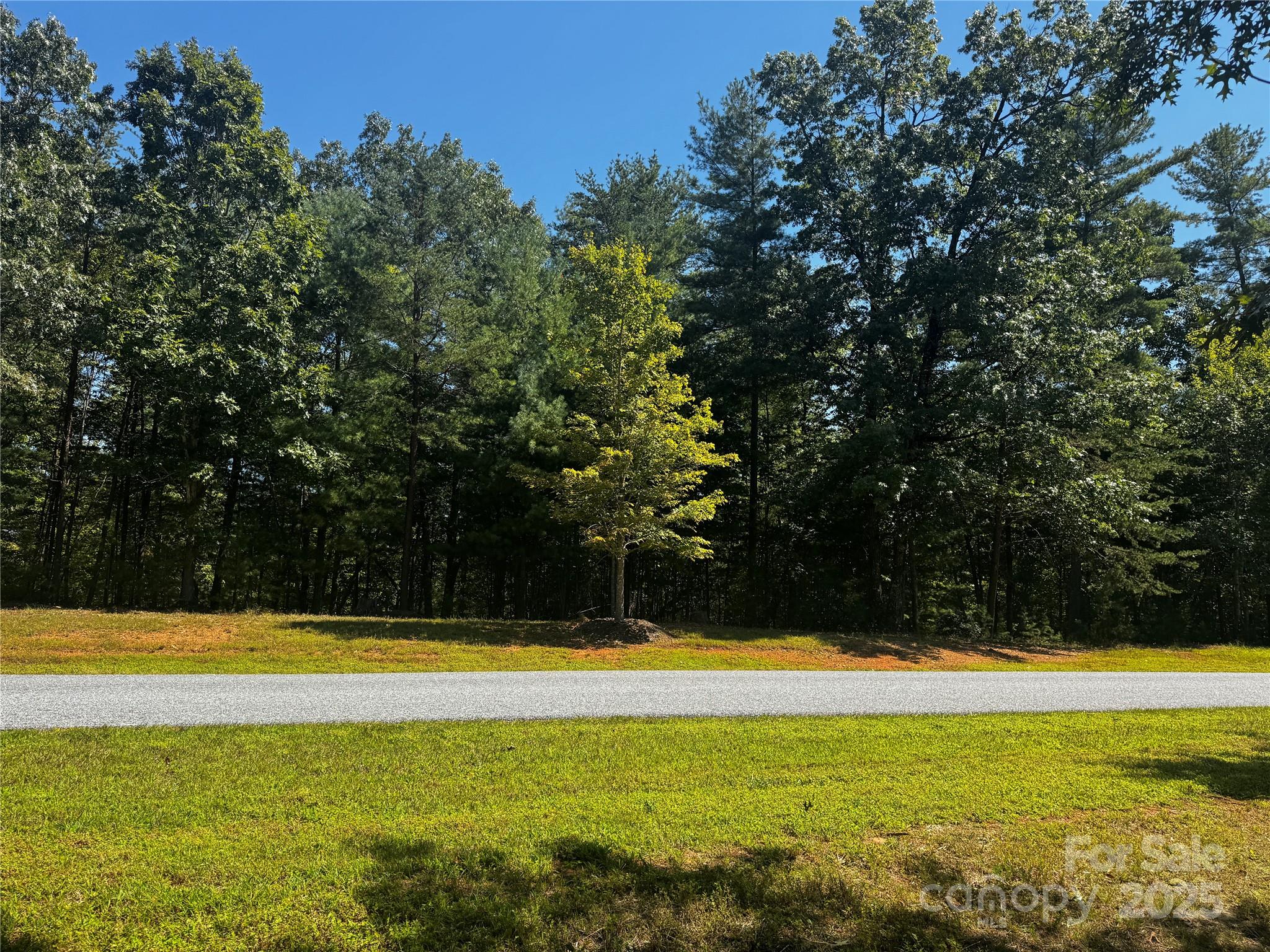 178 Beacon Ridge Drive Nebo, NC 28761 - Photo 10 of 20 a view of swimming pool with lawn chairs and large trees